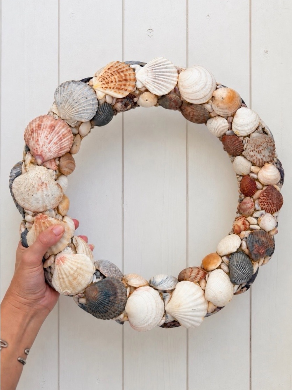 Coastal Seashell Wreath in Natural Multi-Color